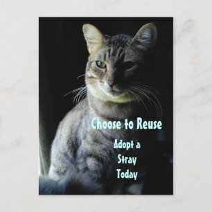 Rett ein Leben! Adoptier dir einen Helfer! Postkarte