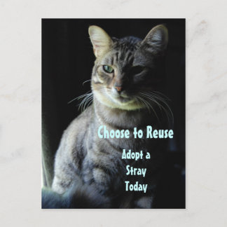 Rett ein Leben! Adoptier dir einen Helfer! Postkarte