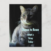 Rett ein Leben! Adoptier dir einen Helfer! Postkarte (Vorderseite)