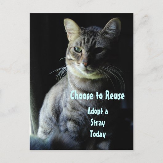 Rett ein Leben! Adoptier dir einen Helfer! Postkarte (Vorderseite)