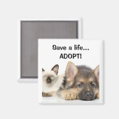 Rett ein Leben... ADOPTIER! Magnet (Vorderseite/Rückseite)