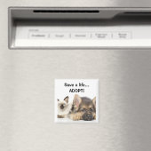 Rett ein Leben... ADOPTIER! Magnet (In Situ (Geschirrspüler))