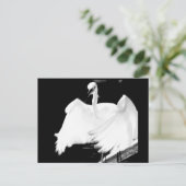 Rett Floridas Vögel Postkarte (Stehend Vorderseite)