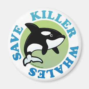 Rett Killer Whales Magnet