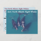 Rett Nordatlantikwale nach Rose Postkarte (Vorne/Hinten)
