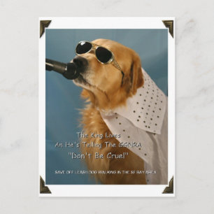 Rett Off-Leash Dog Walking Kongressabgeordnete Pel Postkarte
