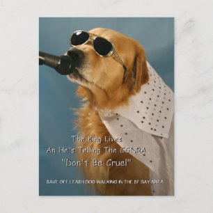 Rett Off-Leash Dog Walking Kongressabgeordnete Pel Postkarte