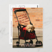 Rett Off-Leash Hund Walking Kongressabgeordnete Pe Postkarte (Vorne/Hinten)