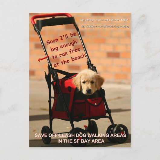 Rett Off-Leash Hund Walking Kongressabgeordnete Pe Postkarte (Vorderseite)