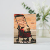 Rett Off-Leash Hund Walking Senator Boxer! Postkarte (Stehend Vorderseite)