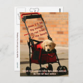 Rett Off-Leash Hund Walking Senator Feinstein! Postkarte (Vorne/Hinten)