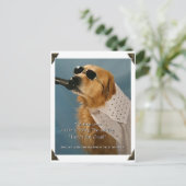 Rett Off-Leash Hund Walking Senator Feinstein Postkarte (Stehend Vorderseite)