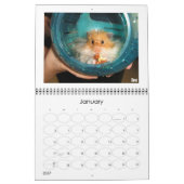 Rett Simon Calendar Kalender (Jan 2027)