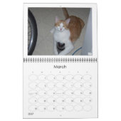 Rett Simon Calendar Kalender (Mär 2027)