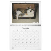 Rett Simon Calendar Kalender (Feb 2027)