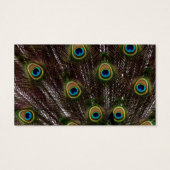 Rett-the-date Moderne elegante Pfauenbrücke (Rückseite)