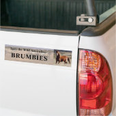 Rett The Wild Australian Brumbies Autoaufkleber (Auf Lkw)