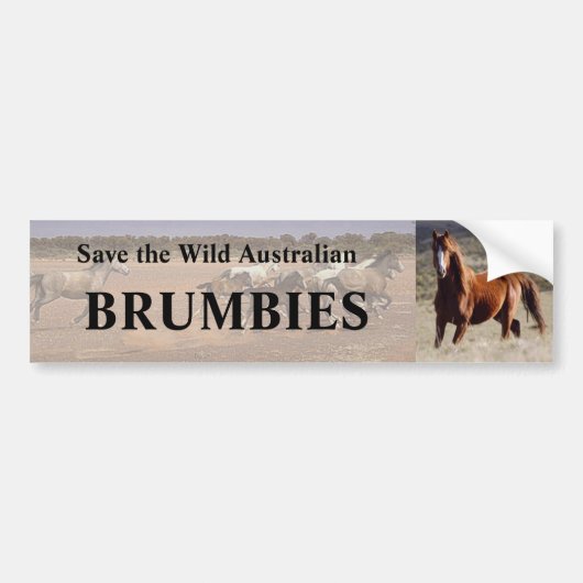 Rett The Wild Australian Brumbies Autoaufkleber (Vorne)