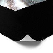 Rett Tiger Poster (Ecke)