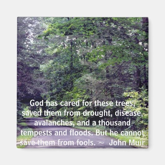 Rett uns von Narren - Magnet (Vorne)