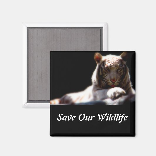 Rett unser Wildlife Tiger Magnet (Vorderseite/Rückseite)