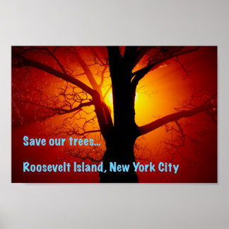 Rett unsere Bäume, Roosevelt Island, New York City Poster