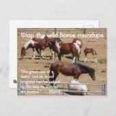 Rett unsere Kampagne "Wilde Pferde" Postkarte (Vorne/Hinten)