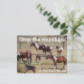 Rett unsere Kampagne "Wilde Pferde" Postkarte (Stehend Vorderseite)