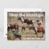 Rett unsere Kampagne "Wilde Pferde" Postkarte (Vorne/Hinten)