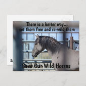 Rett unsere Kampagne "Wilde Pferde" Postkarte (Vorne/Hinten)