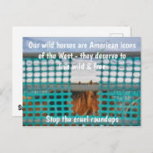 Rett unsere Kampagne "Wilde Pferde" Postkarte (Vorne/Hinten)