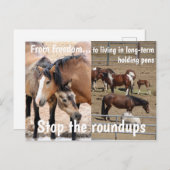 Rett unsere Kampagne "Wilde Pferde" Postkarte (Vorne/Hinten)