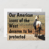 Rett unsere Kampagne "Wilde Pferde" Postkarte (Vorne/Hinten)