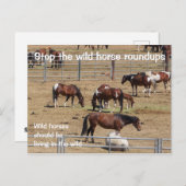 Rett unsere Kampagne "Wilde Pferde" Postkarte (Vorne/Hinten)