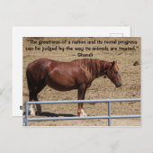 Rett unsere Kampagne "Wilde Pferde" Postkarte (Vorne/Hinten)