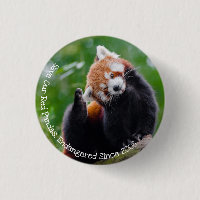 Rett unsere Red Pandas
