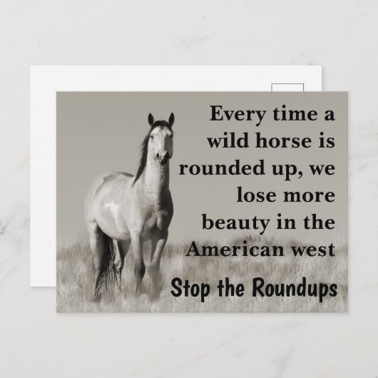 Rett unsere Wildpferde Postkarte (Vorne/Hinten)