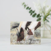 Rett unsere Wildpferde Postkarte (Stehend Vorderseite)