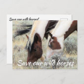 Rett unsere Wildpferde Postkarte (Vorne/Hinten)