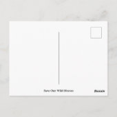 Rett unsere Wildpferde Postkarte (Rückseite)