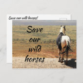 Rett unsere Wildpferde Postkarte (Vorne/Hinten)