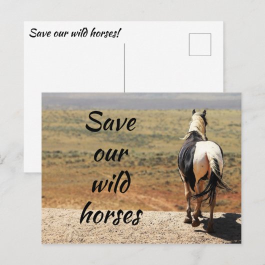 Rett unsere Wildpferde Postkarte (Vorne/Hinten)