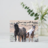 Rett unsere Wildpferde Postkarte (Stehend Vorderseite)