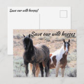 Rett unsere Wildpferde Postkarte (Vorne/Hinten)