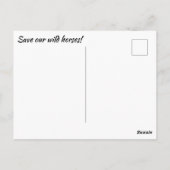 Rett unsere Wildpferde Postkarte (Rückseite)