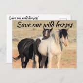 Rett unsere Wildpferde Postkarte (Vorne/Hinten)
