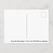 Rett unsere Wildpferde Postkarte (Rückseite)