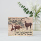 Rett unsere Wildpferde Postkarte (Stehend Vorderseite)