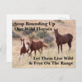 Rett unsere Wildpferde Postkarte (Vorne/Hinten)
