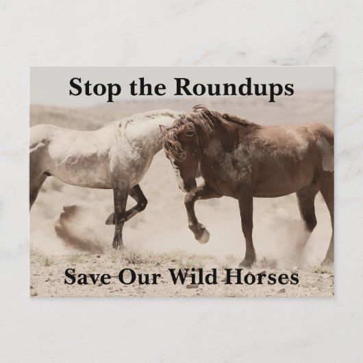Rett unsere Wildpferde Postkarte (Vorderseite)
